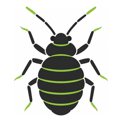 Bed Bugs control icon