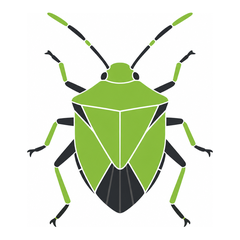 Stink Bugs control icon